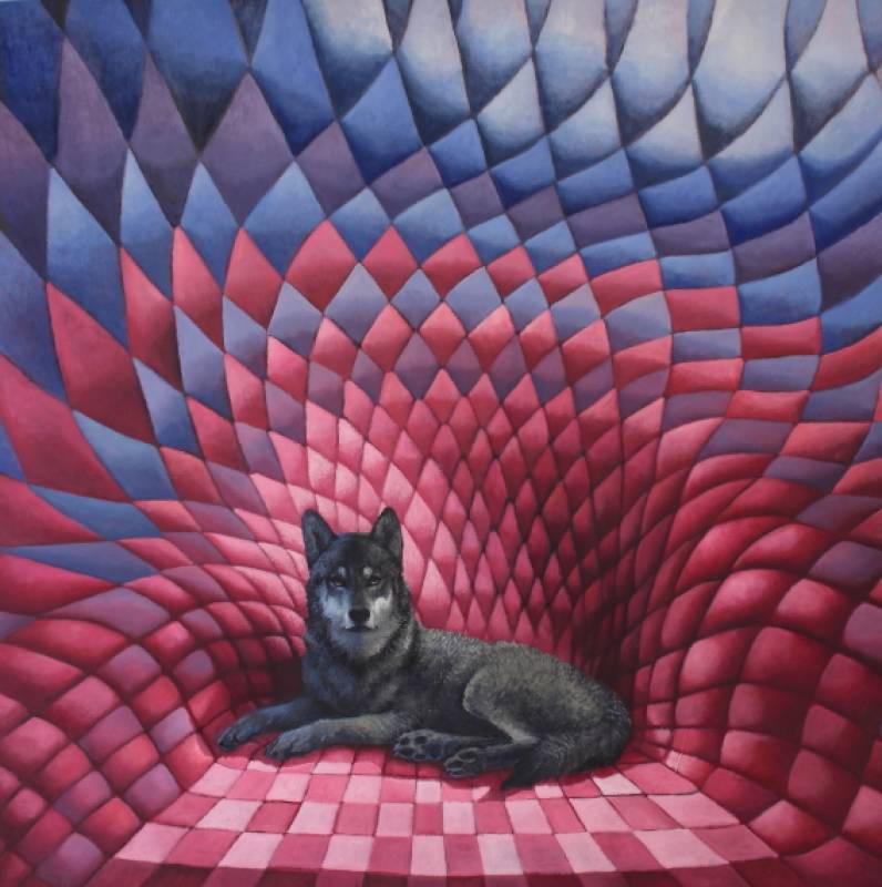 Voimakenttä/Forcefield