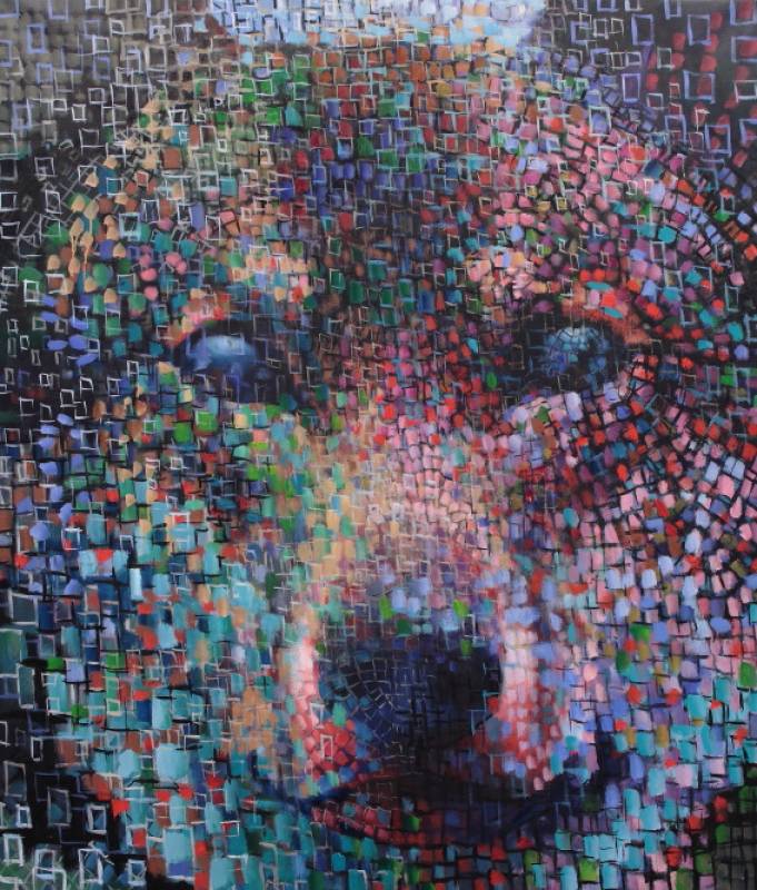 Lukemattomat kehykset/Countless frames